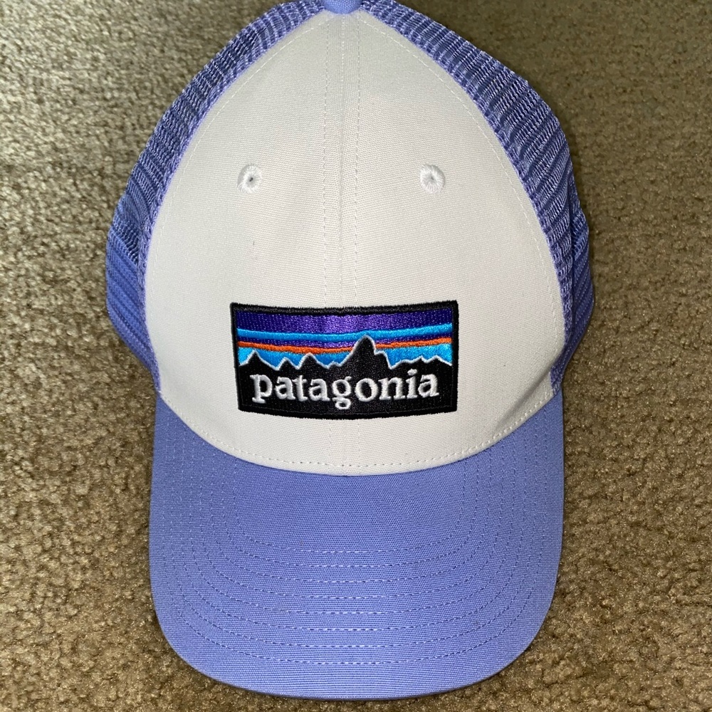Brand new Patagonia Ball Cap